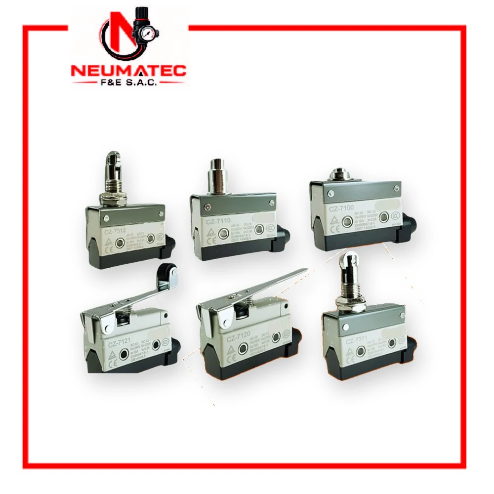 Micro Switch
